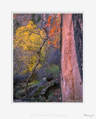 Zion park, Utah