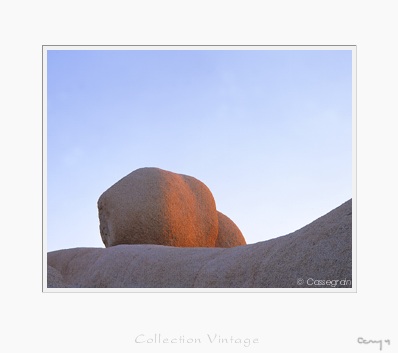 Joshua tree, California