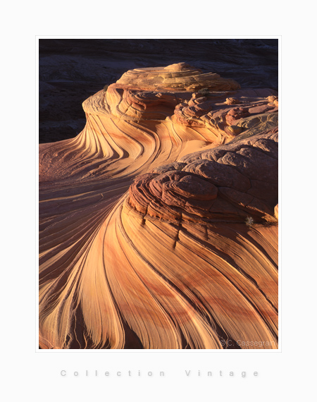 Paria plateau, Coyote buttes, Arizona