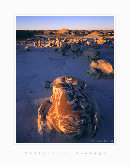 Bisti Badlands, Turtles walk, New Mexic