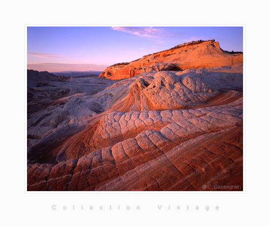 White Pocket Shell, Arizona