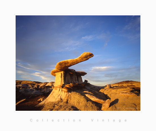 The Blade, King of Wings, New Mexico, USA