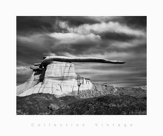 The Blade, King of Wings, Bisti Badlands - De Na Zin Wilderness, New Mexico