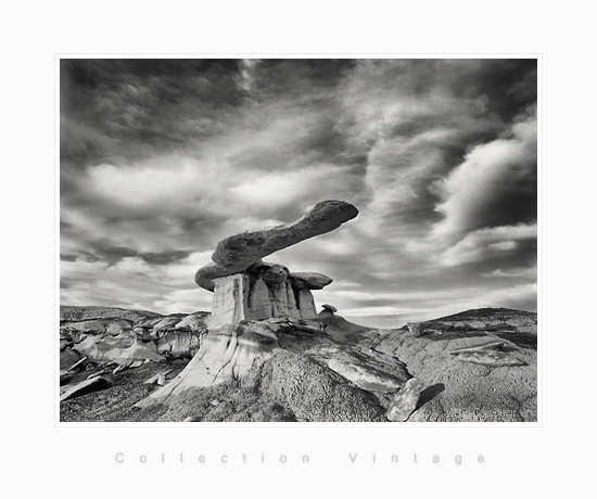 The Blade, King of Wings, New Mexico, USA