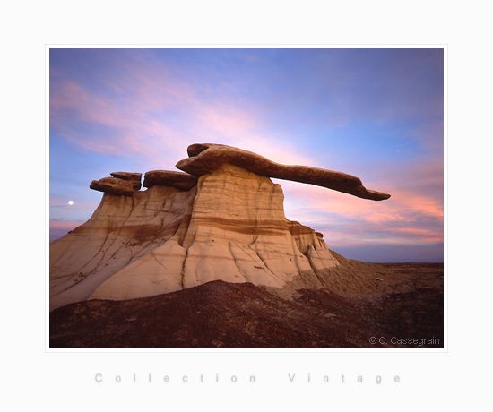 King of Wings, Bisti Badlands - De Na Zin Wilderness, San Juan Country, New Mexico, USA