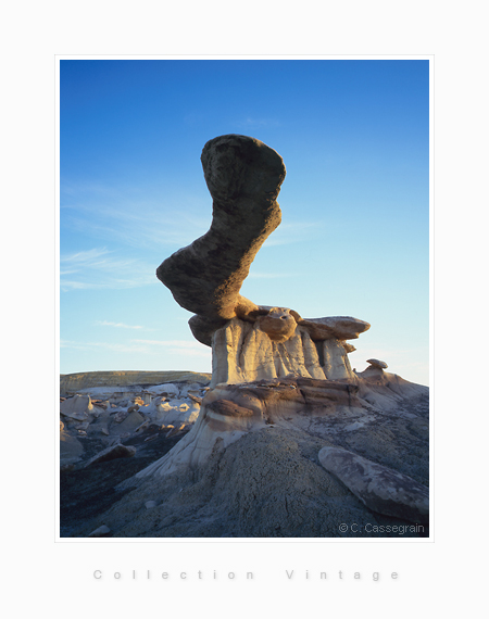 King of Wings, Bisti Badlands - De Na Zin Wilderness, San Juan Basin, New Mexico