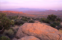 Arches, USA