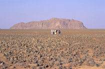 Alg&eacute;rie, Hoggar
