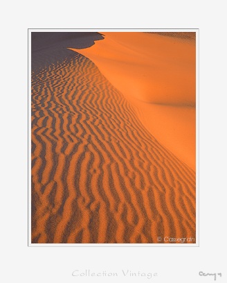 Pink sand dunes, Utah