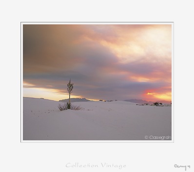 White sands, New mexico