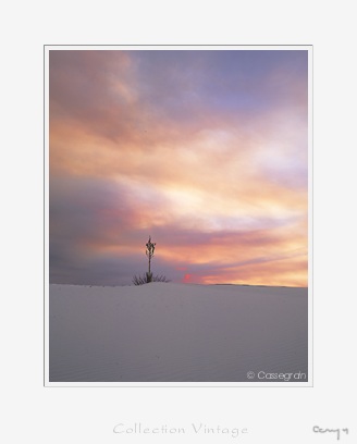 White sands, New mexico