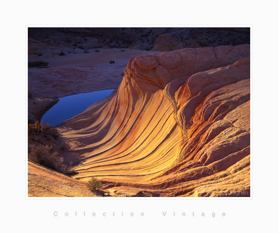 Paria plateau, Harp, Arizona