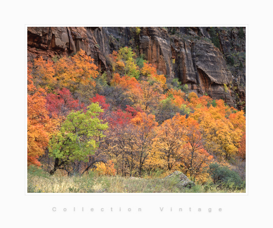 Zion park, Utah