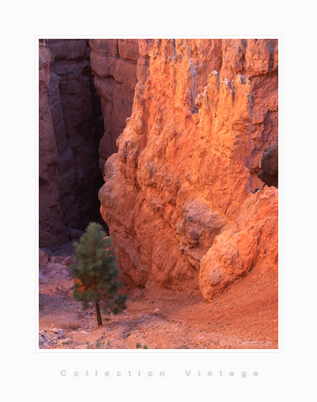 Bryce canyon, Utah