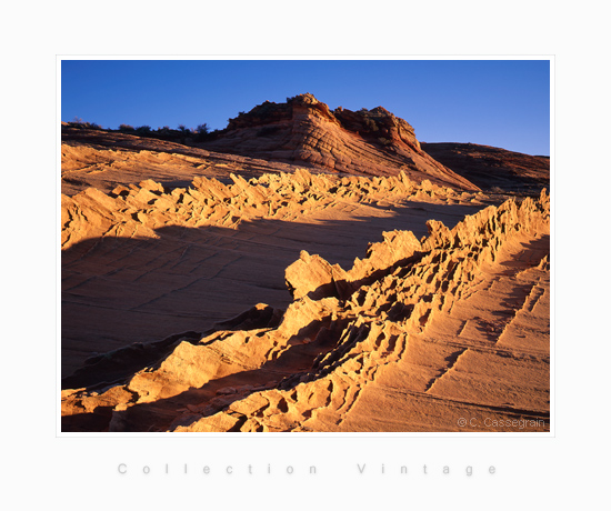 Paria plateau buckskin canyon, Utah