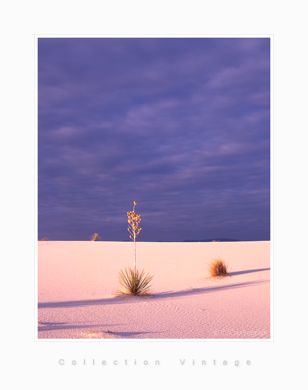 Drama, White Sands, New Mexico