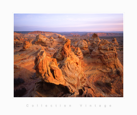 Cottonwood Cove, Arizona (Vermilion Cliffs National Monument)